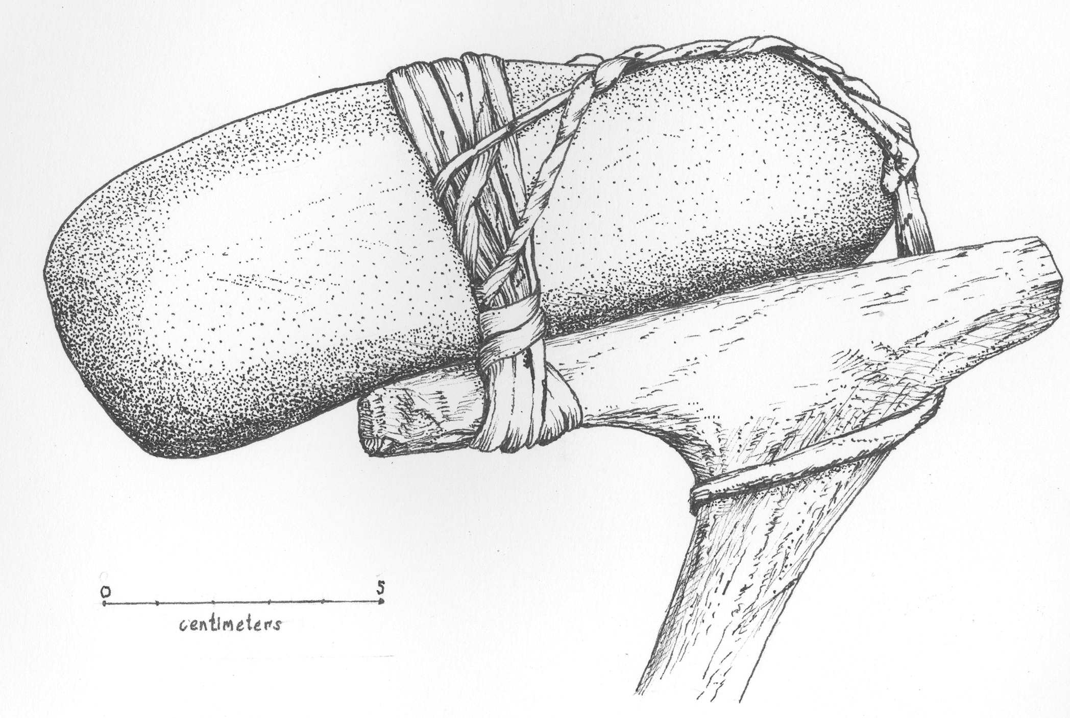 Heavy stones were lashed to antler or wood to make durable hammers