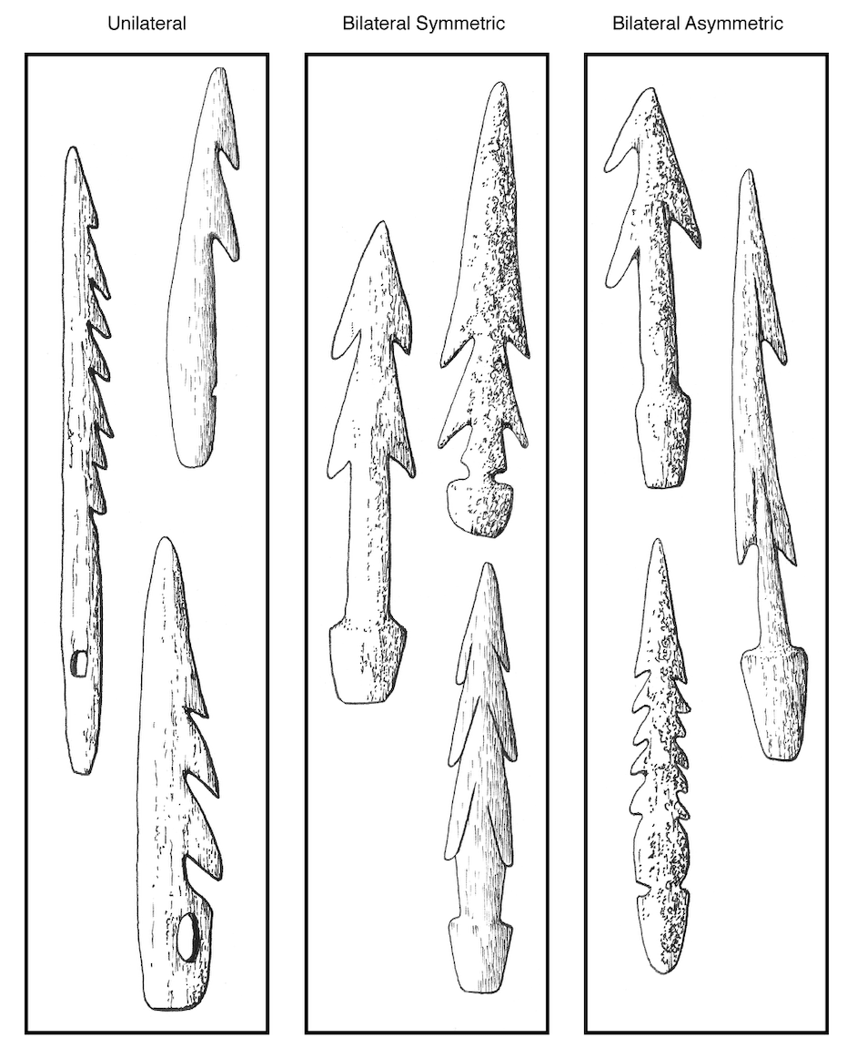 The Aleuts developed many different technological strategies in their hunting techniques