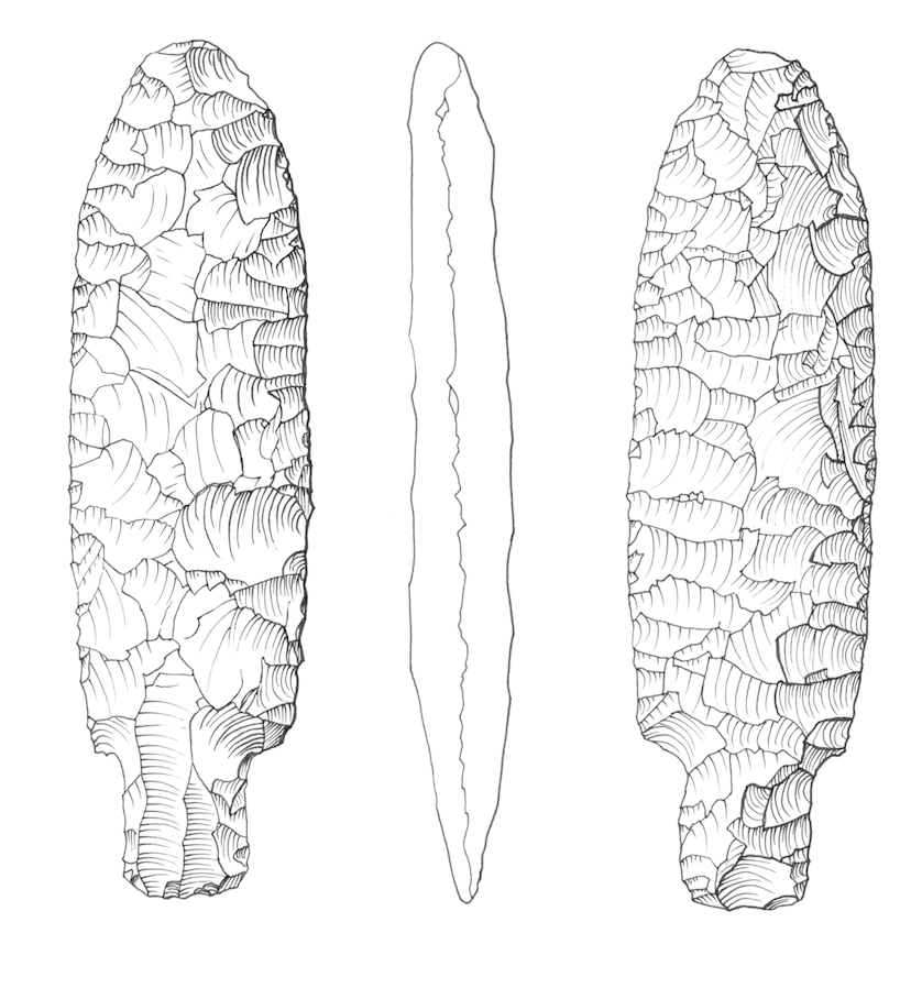 Long projectile points like in this pen and ink drawing, were probably spear points.